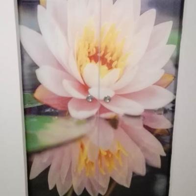 glass door vergopoulos 20