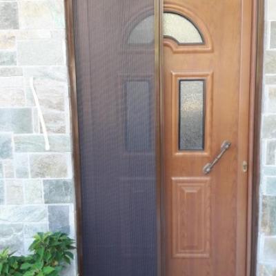 Alouminia vergopoulos 6